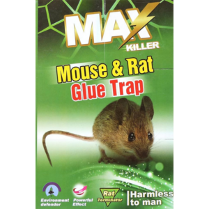 Max Killer Mouse Trap 2's 16cm X 8.5cm