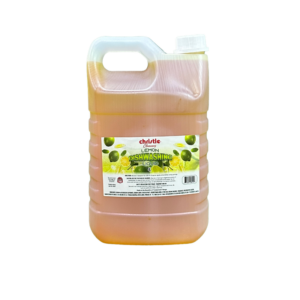 Christle Dishwashing Liquid 4 Litre